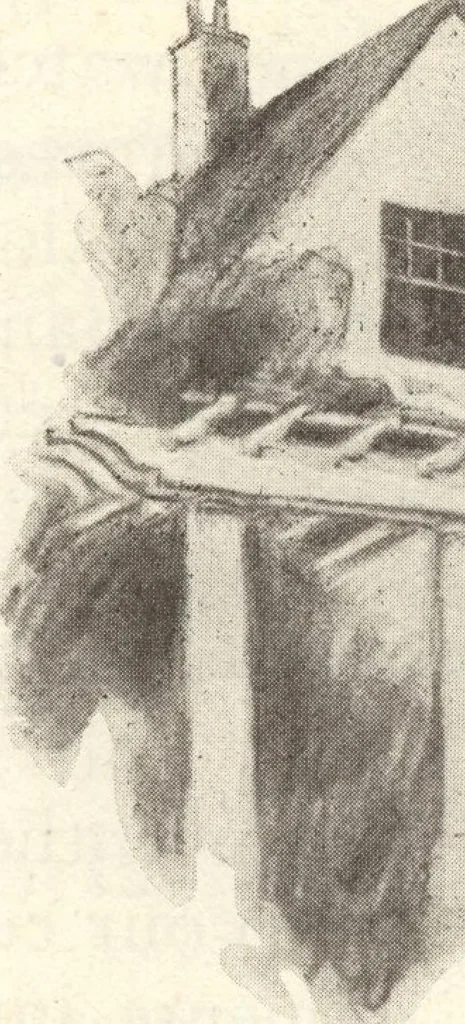 An illustration from Lewis homes: homes of character, 1922, leaf 12