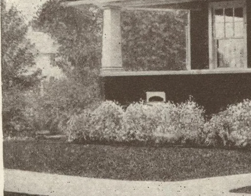 An illustration from Lewis homes: homes of character, 1922, leaf 81