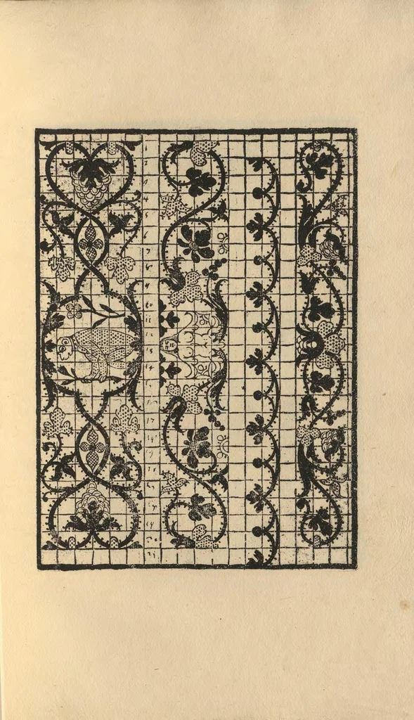 An illustration from L'honesto essempio del uertuoso desiderio che hanno le donne di nobil ingegno, circa la imparare i punti tagliati a fogliami, 1878, leaf 46