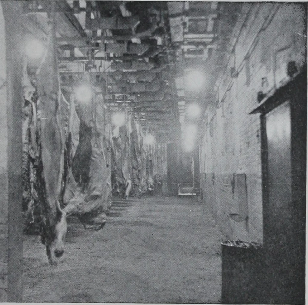 An illustration from Lighting of the food industries / Information compiled by W.H. Rademacher., 1922, leaf 26