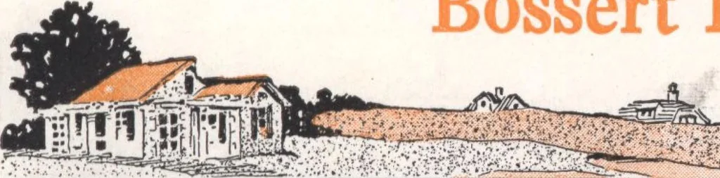 An illustration from Bossert houses, 1922, leaf 12
