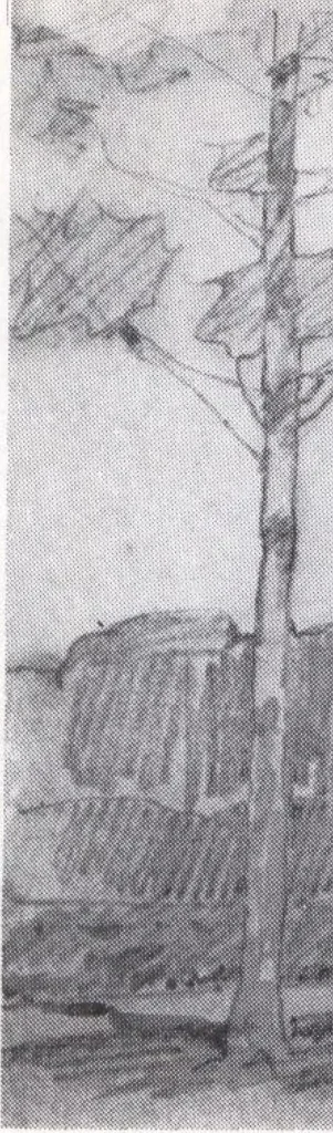 An illustration from Bossert houses, 1922, leaf 13