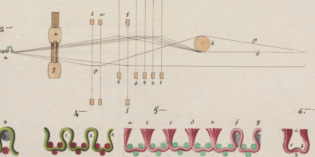 An illustration from Théorie de la fabrication des étoffes de soie, 1841, leaf 344