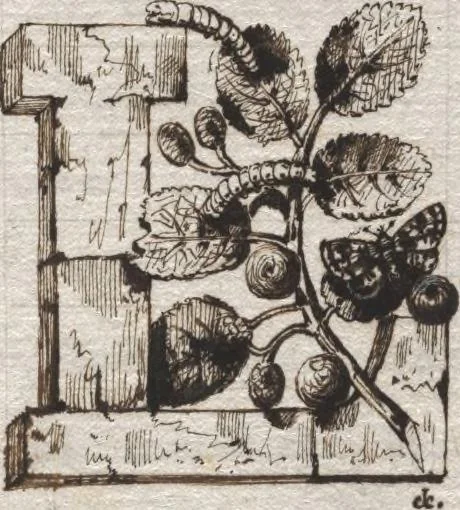 An illustration from Théorie de la fabrication des étoffes de soie, 1841, leaf 8