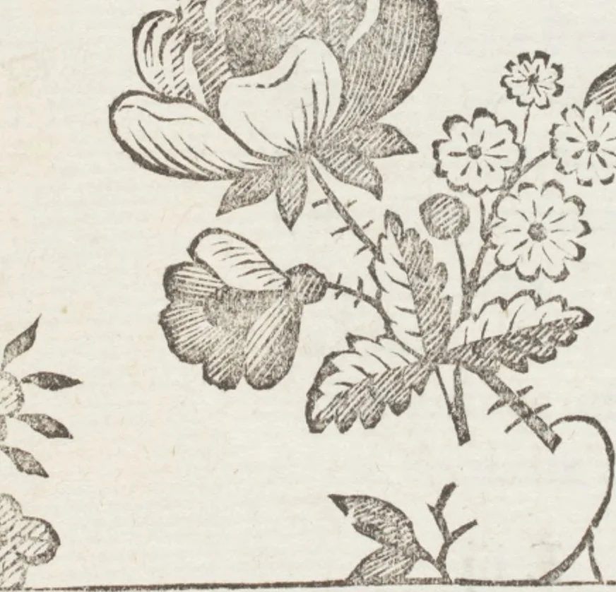 An illustration from Le dessinateur, pour les fabriques, d'étoffes, d'or, d'argent et de soie : avec la traduction de six tables raisonnées, tirées de l'Abecedario pittorico, imprimé à Naples en 1733, 1765, leaf 123