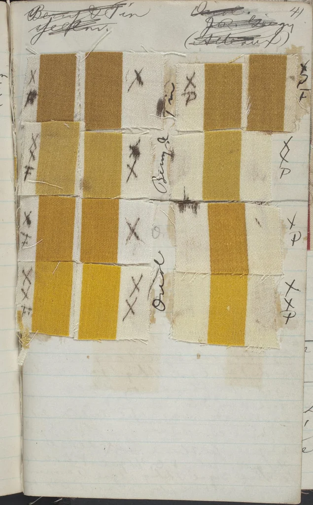 An illustration from [Dyer's note book], 1890, leaf 32