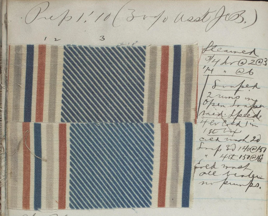 An illustration from [Dyer's note book], 1890, leaf 37