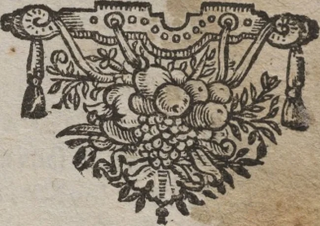 An illustration from Instruction générale pour la teinture des laines, et manufactures de laine, de toutes couleurs & pour la culture des drogues, ou ingrediens qu'on y employe, 1672, leaf 215