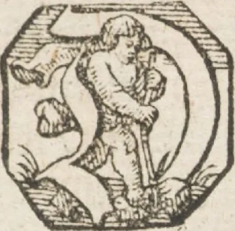 An illustration from Neu hervorkommendes Weber Kunst und Bild Buch, 1709, leaf 116