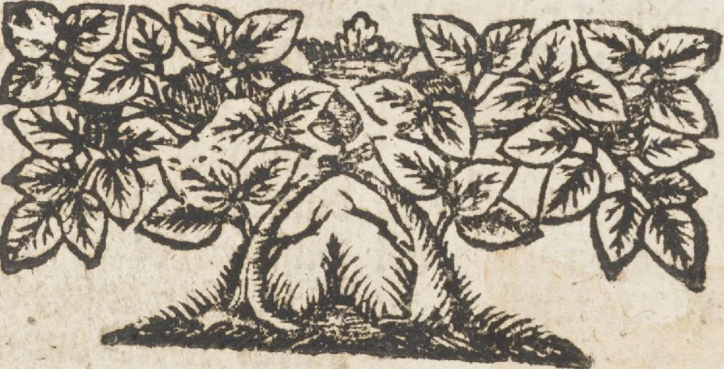 An illustration from Neu hervorkommendes Weber Kunst und Bild Buch, 1709, leaf 139
