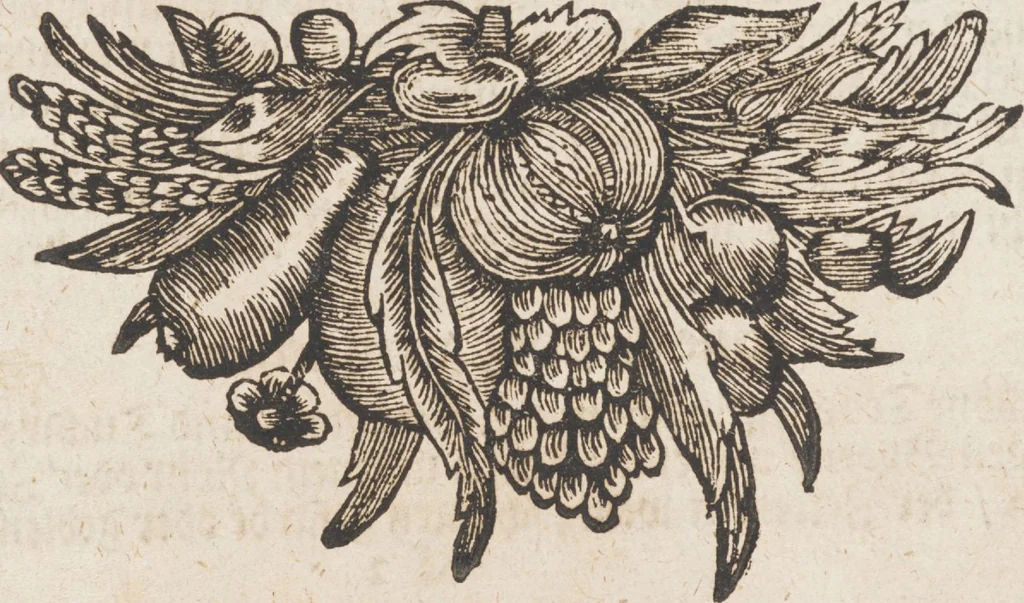 An illustration from Neu hervorkommendes Weber Kunst und Bild Buch, 1709, leaf 21
