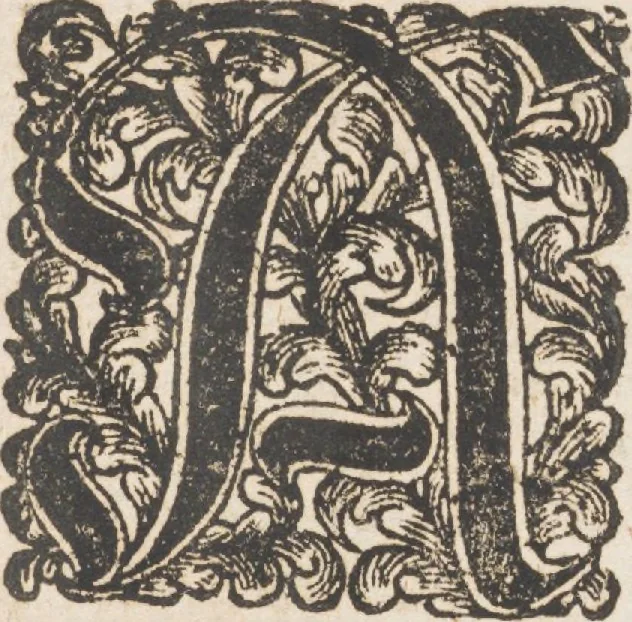 An illustration from Neu hervorkommendes Weber Kunst und Bild Buch, 1709, leaf 4