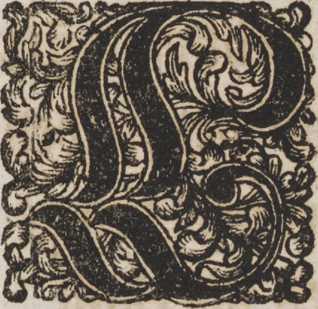 An illustration from Des Neu-erfundenen Weber Kunst- und Bild-Buchs, 1727, leaf 6