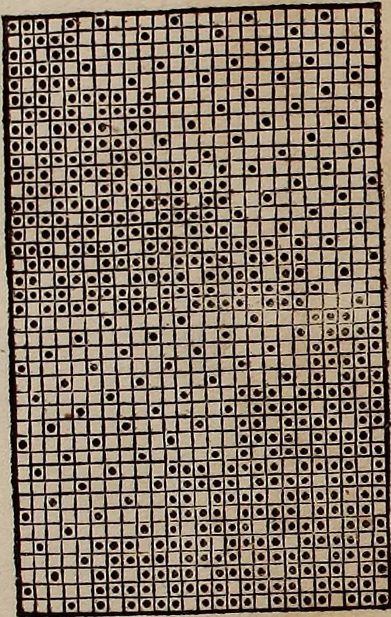 An illustration from Nützliches in lauter auserlesenen, wohl-approbirt- und meistentheils neu-inventirten Mustern bestehendes, Weber-Bild-Buch : als, zwey und siebenzig gesteinten Zeichnungen, von 15. bis auf 40. schäfftig und 32. Stück 16. und 20. schäfftigen Hin- und Wieder-Mödel, auch allerhand der nettesten Gattung von roth-gestreifften Arbeiten, sammt denen dazu gehörigen Zügen und Schnürungen : ingleichen allerhand nöthigen Bildern, auch Doppel-Kellisch, und einer Art von den Damast-Boden, 8. Flügel auf einen Bruch : dann eine Anweisung, wie sich diese Art Züg und Bilder zu halben Brüchen theilen, zerlegen, auch Doppel-Kellisch-Bilder so, wie man sie zum Gebrauch nöthig, selbst versetzen und verändern kan : wobey auch einer jeden Gattung insonderheit eine schrifftliche Anleitung voran gedruckt worden, 1740, leaf 166