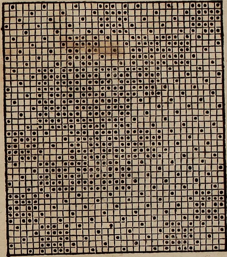 An illustration from Nützliches in lauter auserlesenen, wohl-approbirt- und meistentheils neu-inventirten Mustern bestehendes, Weber-Bild-Buch : als, zwey und siebenzig gesteinten Zeichnungen, von 15. bis auf 40. schäfftig und 32. Stück 16. und 20. schäfftigen Hin- und Wieder-Mödel, auch allerhand der nettesten Gattung von roth-gestreifften Arbeiten, sammt denen dazu gehörigen Zügen und Schnürungen : ingleichen allerhand nöthigen Bildern, auch Doppel-Kellisch, und einer Art von den Damast-Boden, 8. Flügel auf einen Bruch : dann eine Anweisung, wie sich diese Art Züg und Bilder zu halben Brüchen theilen, zerlegen, auch Doppel-Kellisch-Bilder so, wie man sie zum Gebrauch nöthig, selbst versetzen und verändern kan : wobey auch einer jeden Gattung insonderheit eine schrifftliche Anleitung voran gedruckt worden, 1740, leaf 166