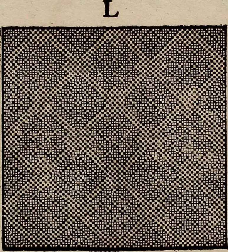 An illustration from Nützliches in lauter auserlesenen, wohl-approbirt- und meistentheils neu-inventirten Mustern bestehendes, Weber-Bild-Buch : als, zwey und siebenzig gesteinten Zeichnungen, von 15. bis auf 40. schäfftig und 32. Stück 16. und 20. schäfftigen Hin- und Wieder-Mödel, auch allerhand der nettesten Gattung von roth-gestreifften Arbeiten, sammt denen dazu gehörigen Zügen und Schnürungen : ingleichen allerhand nöthigen Bildern, auch Doppel-Kellisch, und einer Art von den Damast-Boden, 8. Flügel auf einen Bruch : dann eine Anweisung, wie sich diese Art Züg und Bilder zu halben Brüchen theilen, zerlegen, auch Doppel-Kellisch-Bilder so, wie man sie zum Gebrauch nöthig, selbst versetzen und verändern kan : wobey auch einer jeden Gattung insonderheit eine schrifftliche Anleitung voran gedruckt worden, 1740, leaf 192