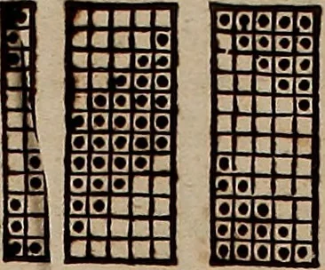 An illustration from Nützliches in lauter auserlesenen, wohl-approbirt- und meistentheils neu-inventirten Mustern bestehendes, Weber-Bild-Buch : als, zwey und siebenzig gesteinten Zeichnungen, von 15. bis auf 40. schäfftig und 32. Stück 16. und 20. schäfftigen Hin- und Wieder-Mödel, auch allerhand der nettesten Gattung von roth-gestreifften Arbeiten, sammt denen dazu gehörigen Zügen und Schnürungen : ingleichen allerhand nöthigen Bildern, auch Doppel-Kellisch, und einer Art von den Damast-Boden, 8. Flügel auf einen Bruch : dann eine Anweisung, wie sich diese Art Züg und Bilder zu halben Brüchen theilen, zerlegen, auch Doppel-Kellisch-Bilder so, wie man sie zum Gebrauch nöthig, selbst versetzen und verändern kan : wobey auch einer jeden Gattung insonderheit eine schrifftliche Anleitung voran gedruckt worden, 1740, leaf 206