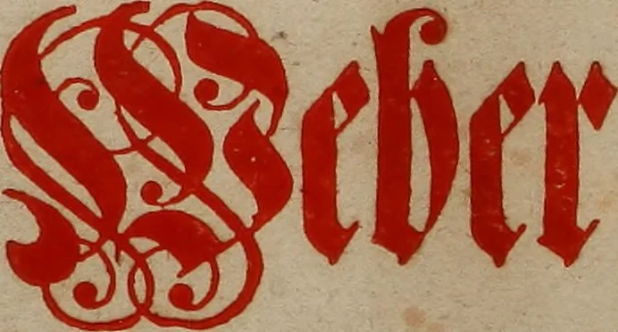 An illustration from Nützliches in lauter auserlesenen, wohl-approbirt- und meistentheils neu-inventirten Mustern bestehendes, Weber-Bild-Buch : als, zwey und siebenzig gesteinten Zeichnungen, von 15. bis auf 40. schäfftig und 32. Stück 16. und 20. schäfftigen Hin- und Wieder-Mödel, auch allerhand der nettesten Gattung von roth-gestreifften Arbeiten, sammt denen dazu gehörigen Zügen und Schnürungen : ingleichen allerhand nöthigen Bildern, auch Doppel-Kellisch, und einer Art von den Damast-Boden, 8. Flügel auf einen Bruch : dann eine Anweisung, wie sich diese Art Züg und Bilder zu halben Brüchen theilen, zerlegen, auch Doppel-Kellisch-Bilder so, wie man sie zum Gebrauch nöthig, selbst versetzen und verändern kan : wobey auch einer jeden Gattung insonderheit eine schrifftliche Anleitung voran gedruckt worden, 1740, leaf 6