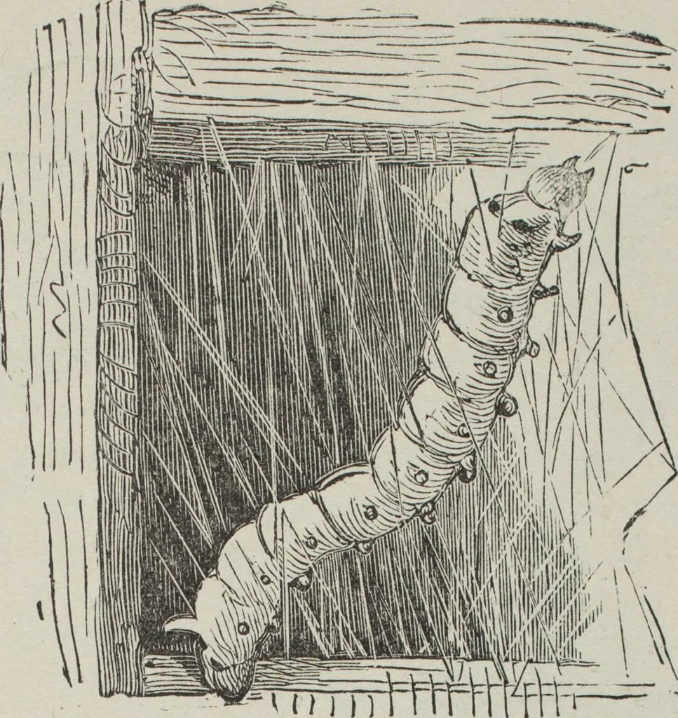 An illustration from How to use Florence knitting silk : no. 4, 1882, leaf 60