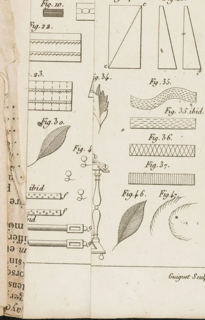 An illustration from Manuel des demoiselles, ou, Arts et métiers qui leur conviennent, et dont elles peuvent s'occuper avec, agrément ..., 1826, leaf 326