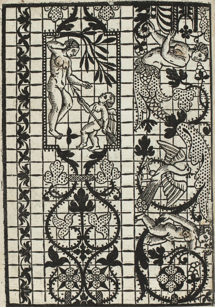 An illustration from L'honesto essempio del uertuoso desiderio che hanno le donne di nobil ingegno : circa lo imparare i punti tagliati a fogliami, 1550, leaf 11