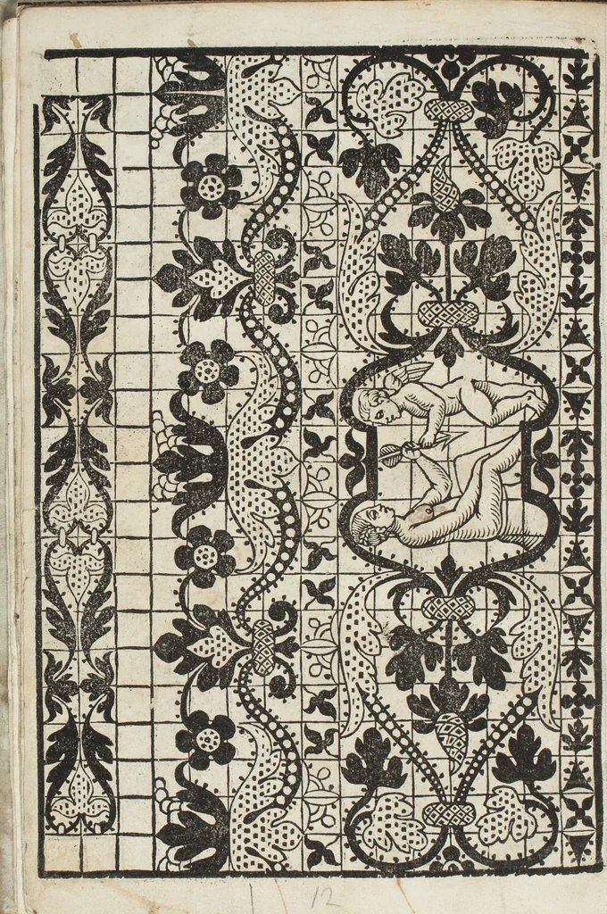 An illustration from L'honesto essempio del uertuoso desiderio che hanno le donne di nobil ingegno : circa lo imparare i punti tagliati a fogliami, 1550, leaf 17