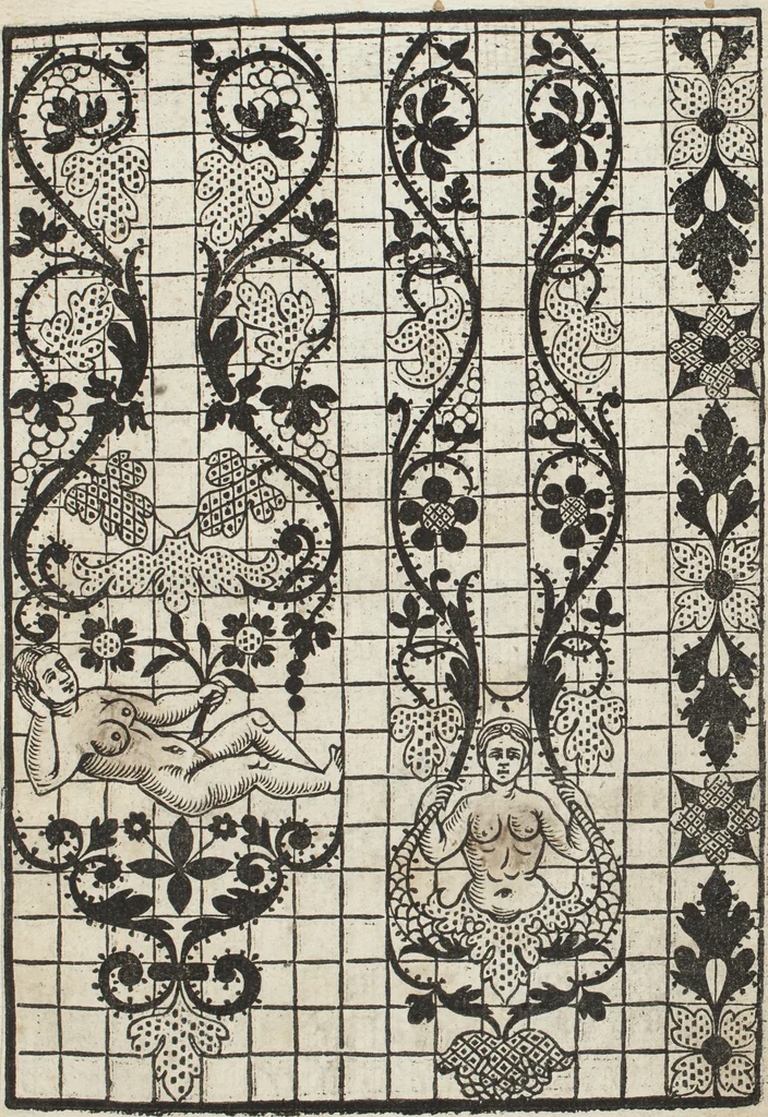 An illustration from L'honesto essempio del uertuoso desiderio che hanno le donne di nobil ingegno : circa lo imparare i punti tagliati a fogliami, 1550, leaf 18