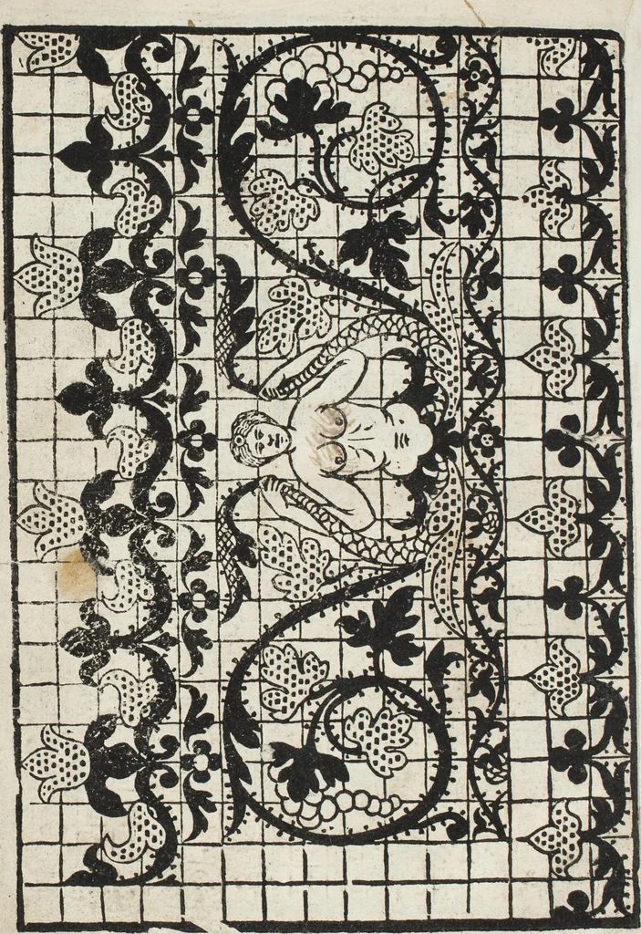 An illustration from L'honesto essempio del uertuoso desiderio che hanno le donne di nobil ingegno : circa lo imparare i punti tagliati a fogliami, 1550, leaf 25