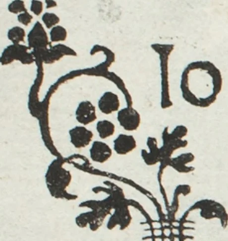 An illustration from L'honesto essempio del uertuoso desiderio che hanno le donne di nobil ingegno : circa lo imparare i punti tagliati a fogliami, 1550, leaf 4