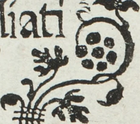 An illustration from L'honesto essempio del uertuoso desiderio che hanno le donne di nobil ingegno : circa lo imparare i punti tagliati a fogliami, 1550, leaf 4