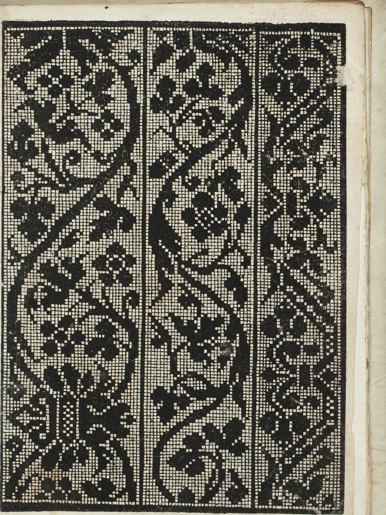 An illustration from L'honesto essempio del uertuoso desiderio che hanno le donne di nobil ingegno : circa lo imparare i punti tagliati a fogliami, 1550, leaf 6