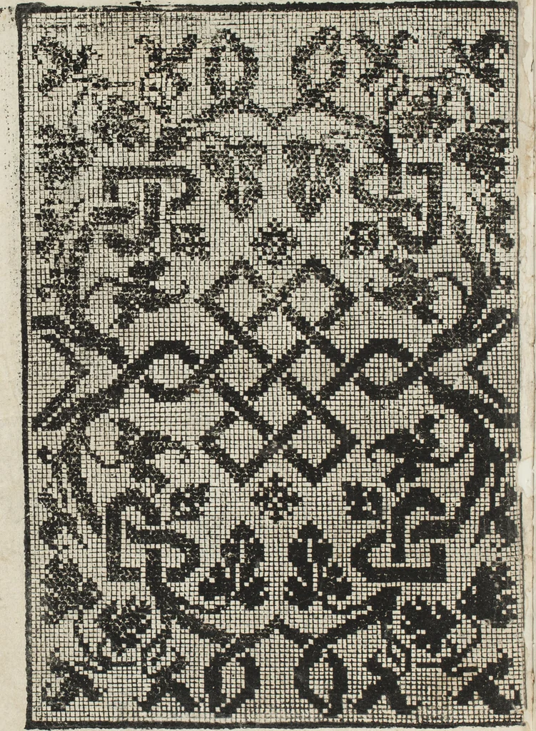 An illustration from L'honesto essempio del uertuoso desiderio che hanno le donne di nobil ingegno : circa lo imparare i punti tagliati a fogliami, 1550, leaf 9