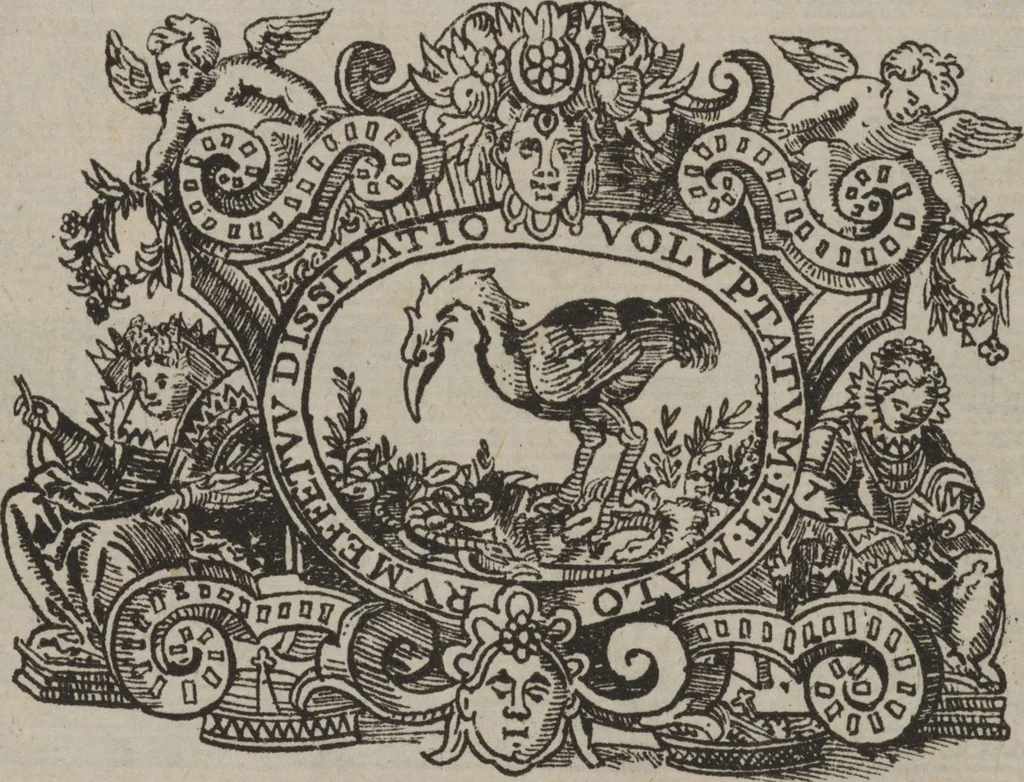 An illustration from Corona delle nobili, et virtvose donne. Libro [primo] : nel quale si dimostra in varij dissegni molte sorti di mostre di punti in aria, punti tagliati, punti a reticello, & ristampa la quarta voltà, 1592, leaf 6