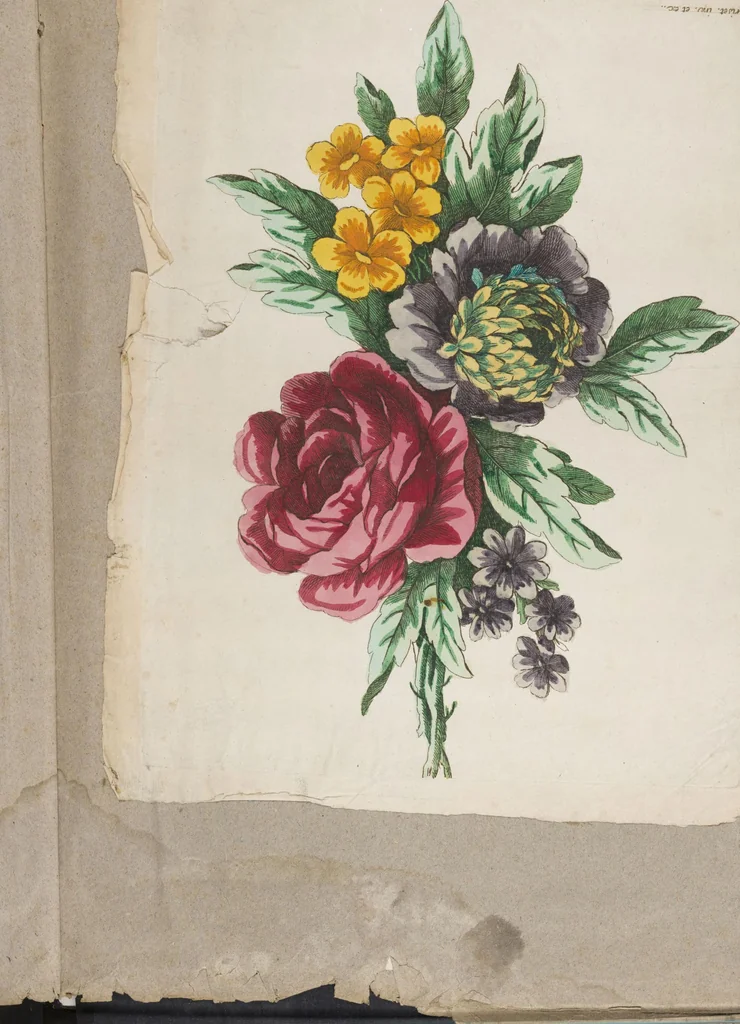 An illustration from Folio of embroidery designs, 1800, leaf 60