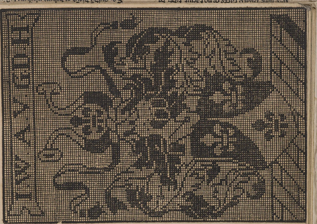 An illustration from New künstlichs Modelbuch : von allerhand artlichen und gerechten Mödeln, auff der laden zuwircken, 1589, leaf 10