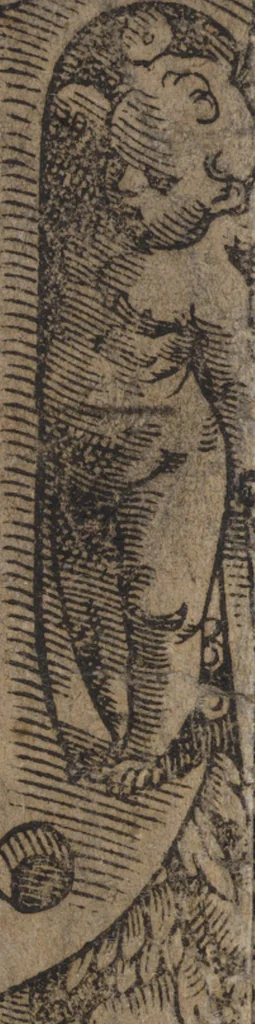 An illustration from New künstlichs Modelbuch : von allerhand artlichen und gerechten Mödeln, auff der laden zuwircken, 1589, leaf 4