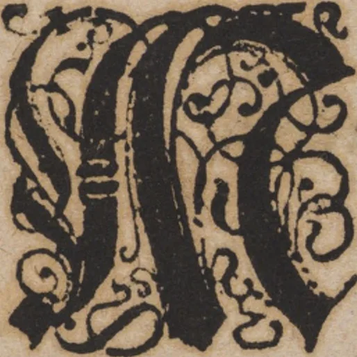 An illustration from New künstlichs Modelbuch : von allerhand artlichen und gerechten Mödeln, auff der laden zuwircken, 1589, leaf 6