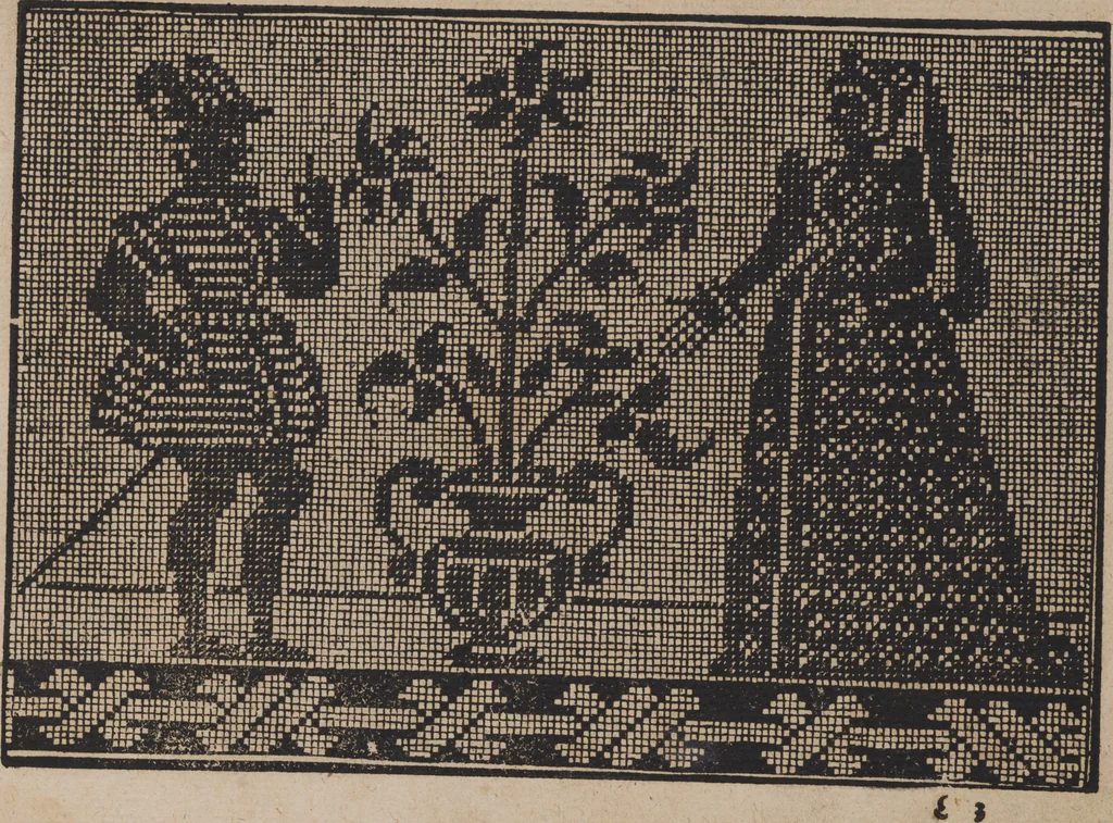 An illustration from New künstlichs Modelbuch : von allerhand artlichen und gerechten Mödeln, auff der laden zuwircken, 1589, leaf 80