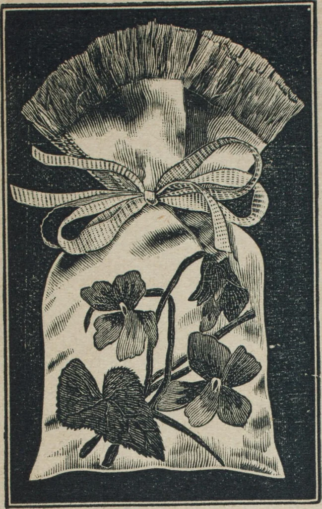 An illustration from Florence home needle-work, 1887, leaf 81