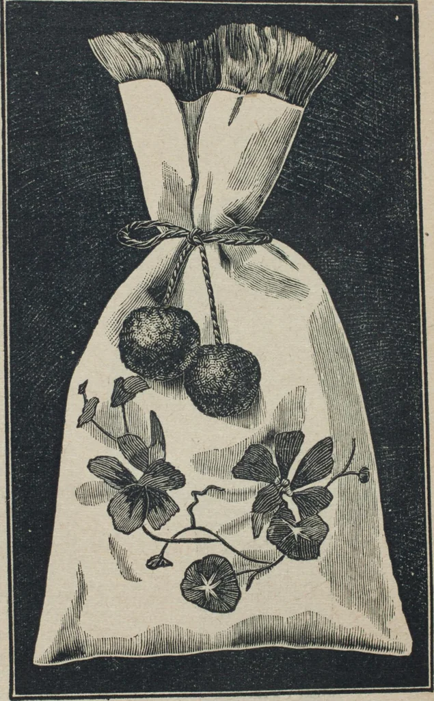 An illustration from Florence home needle-work, 1887, leaf 82