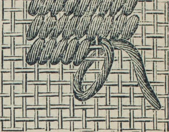An illustration from Florence home needle-work, 1888, leaf 41