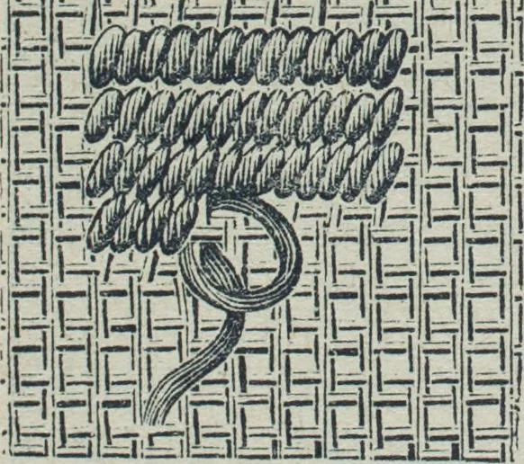 An illustration from Florence home needle-work, 1888, leaf 41