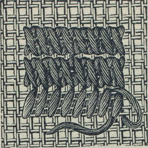 An illustration from Florence home needle-work, 1888, leaf 42