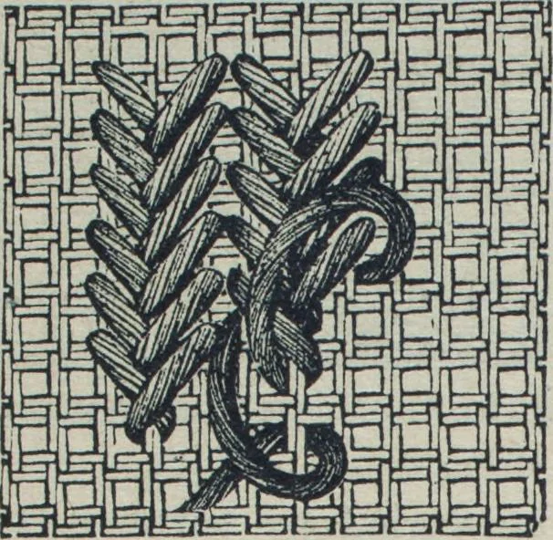 An illustration from Florence home needle-work, 1888, leaf 43