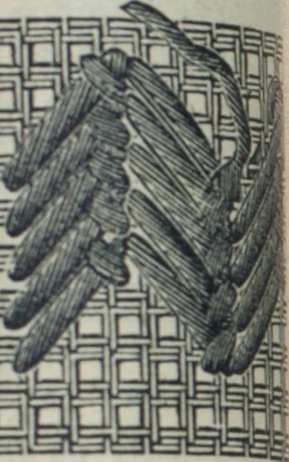 An illustration from Florence home needle-work, 1888, leaf 44