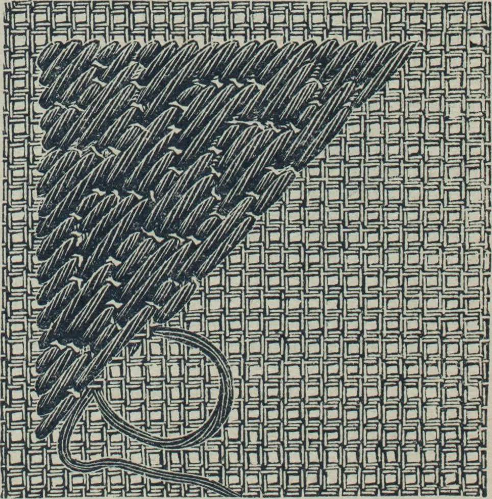 An illustration from Florence home needle-work, 1888, leaf 46