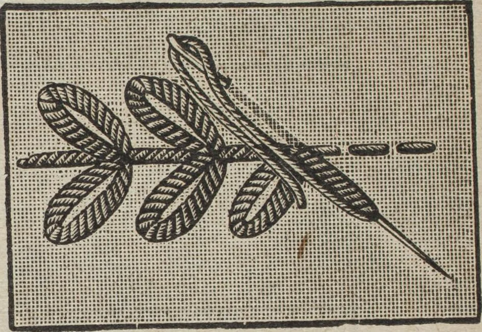 An illustration from Florence home needle-work, 1889, leaf 24