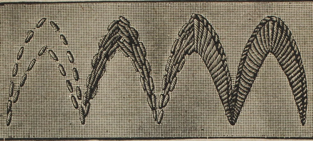 An illustration from Florence home needle-work, 1889, leaf 25