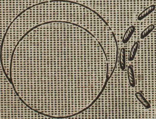 An illustration from Florence home needle-work, 1889, leaf 26