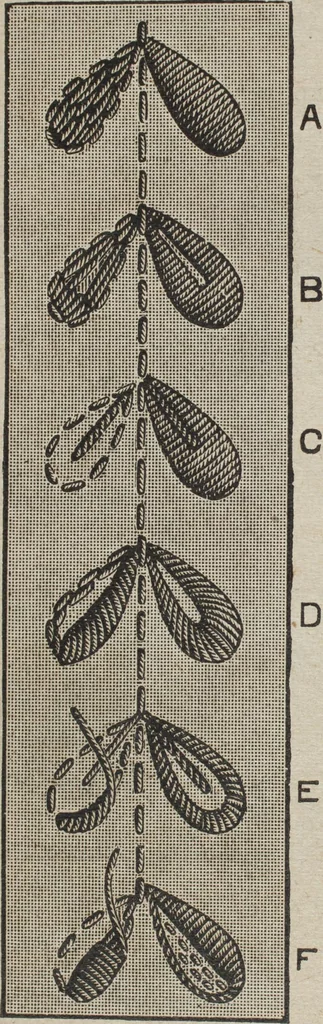 An illustration from Florence home needle-work, 1889, leaf 27